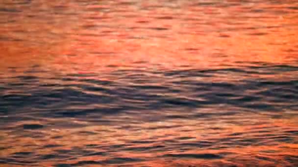 Reflejo de la luz del atardecer en la superficie de las olas de agua en el mar — Vídeos de Stock