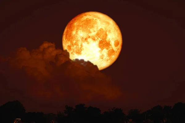 Esturgeon rouge lune sur la nuit ciel rouge arrière silhouette arbre — Photo