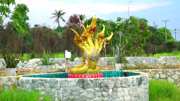 Naga cinco cabeça fonte na piscina no jardim — Vídeo de Stock