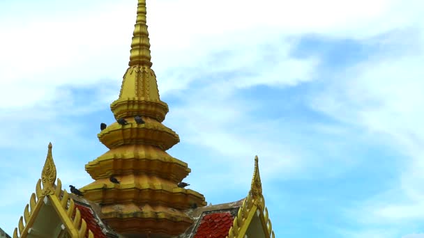 Palomas de pie y dormir y relajarse en la parte superior de la pagoda de oro y la nube blanca en el cielo — Vídeo de stock