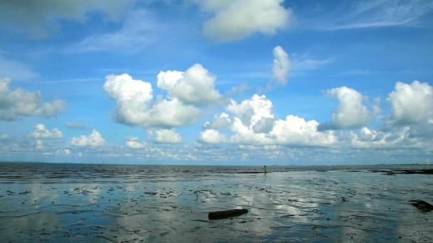 男は潮と青い空の白い雲の背景を持っているとき、海の上にシーフードを見つける — ストック動画