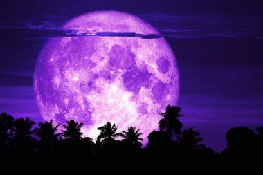 gece gökyüzünde süper kar ay geri siluet ağacı