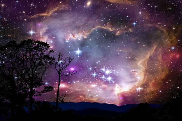 bulanıklık sis bulutsu geri gece bulut günbatımı gökyüzü siluet ağaç