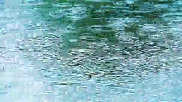 Enfoque a la gota de lluvia en el agua y desenfoque hoja seca flotando en la superficie1 — Vídeo de stock