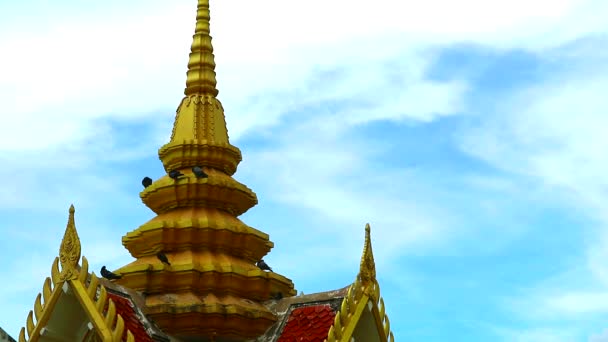 Pigeons stand and sleep and relax on top of gold pagoda and white cloud on sky background — Stock Video