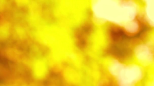 Turuncu gole soyut bulanıklık bahçede renkli yaprakları çiçek ağacı — Stok video