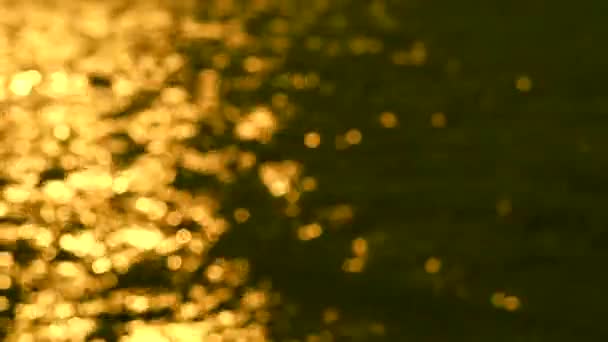 Blurred reflection of sunlight sunset wave on sea surface on gold orange and white bokeh blink — Stock Video