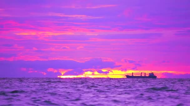 Cargo parking sur la mer et le coucher du soleil violet nuage sur le ciel — Video