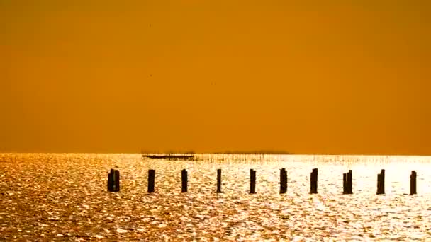 放弃大海中的混凝土柱子和在夕阳天空中飞翔的鸟儿 — 图库视频影像