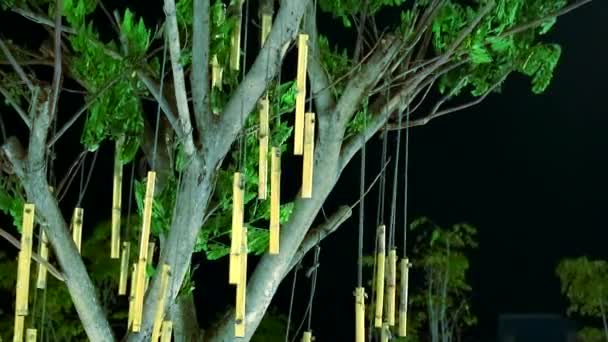 Molti pezzi di bambù sono stati decorati sul balcone di notte — Video Stock