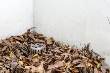 Birçok kuru yaprak drenajtıkladı, su içinde sızıntı neden 