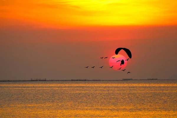sunset flying birds and silhouette paramotor over sea and colorf