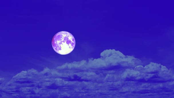 紫色收获月亮通过滚动云在夜空时间推移 — 图库视频影像