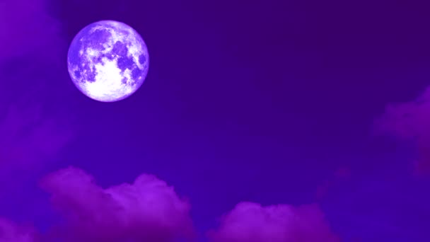 Полный урожай фиолетовый луна движется пройти обратно облако на темное ночное небо — стоковое видео