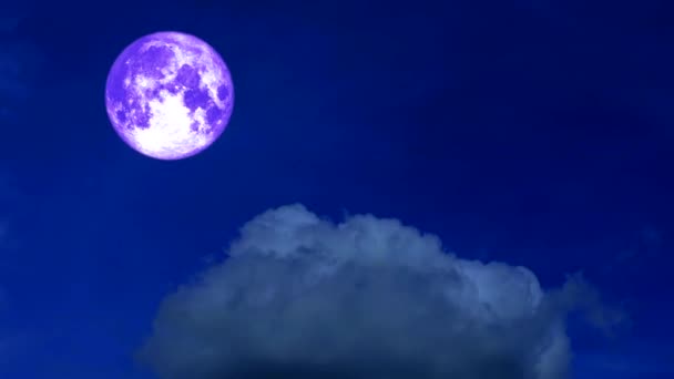 Volle oogst maan Moving Pass terug wolk op donkere nachtelijke hemel — Stockvideo