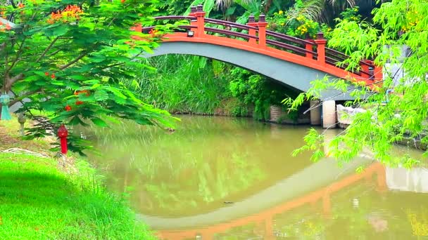 Reflection bridge on lake surface in the park and bamboo branch over water — Stock Video