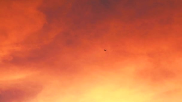 The plane is flying through the sky in orange red of sunset cloud — Stock Video