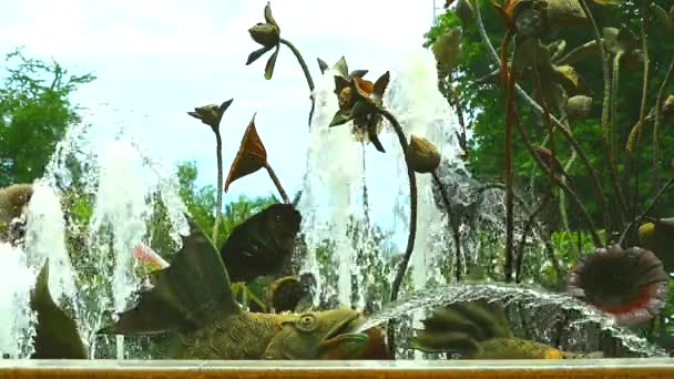 Fuente de peces y loto y lila almohadilla hecha de cobre en el jardín público — Vídeos de Stock