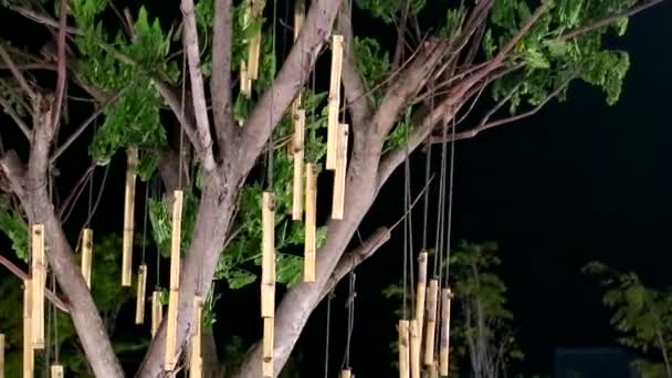 Muitos pedaços de bambu foram decorados na varanda à noite1 — Vídeo de Stock