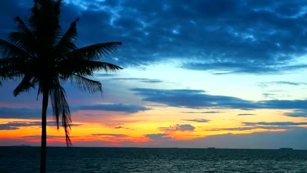 Σιλουέτα ηλιοβασίλεμα καρύδας στη θάλασσα και το ουράνιο τόξο σύννεφο στον ουρανό — Αρχείο Βίντεο
