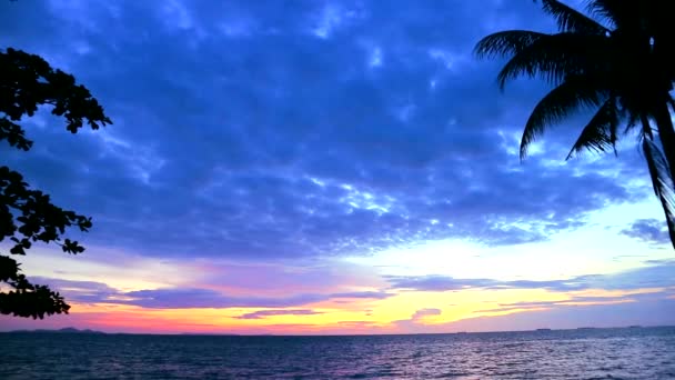 Silueta de coco puesta de sol en el mar y la nube azul oscuro en el cielo — Vídeos de Stock