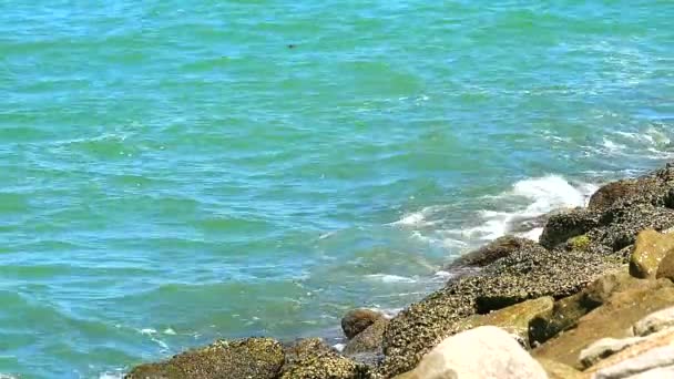 Rompeolas hechas de piedra de granito para proteger oleaje de tormenta y bouy en el mar — Vídeos de Stock