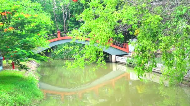 Reflectie brug op het meer oppervlak in Park en bamboe tak over water1 — Stockvideo