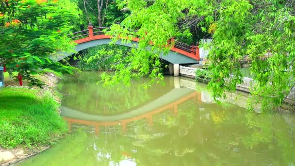 Odbicie mostu na powierzchni jeziora w parku i bambusa gałęzi nad wodą — Wideo stockowe