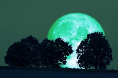 alanında gece gökyüzü geri ağaç süper dolum ay