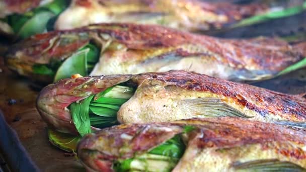 Grillad fisk med örter på spisen och doften av god rökkokning — Stockvideo
