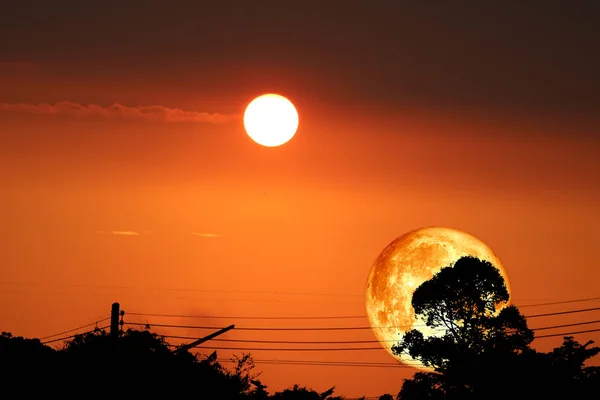 Super scuro raccolta luna piurple sul cielo notturno indietro ramo secco tre — Foto Stock