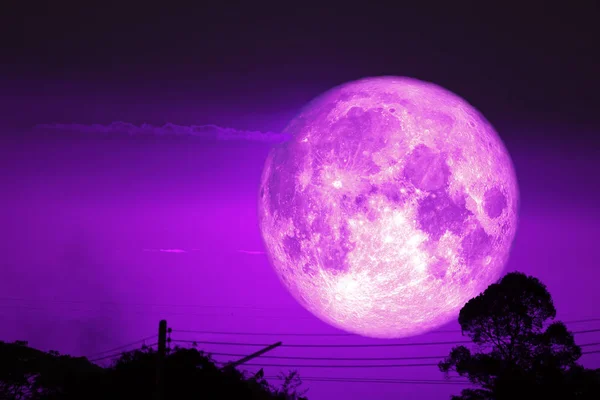 Σούπερ σκοτεινή συγκομιδή piurple φεγγάρι στο νυχτερινό ουρανό πίσω ξηρό υποκατάστημα tre — Φωτογραφία Αρχείου