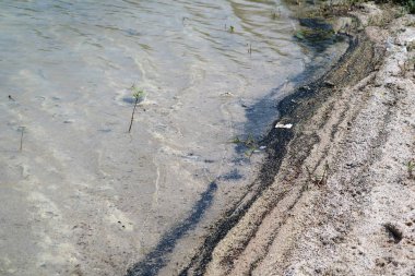Plaj tekneden gelen petrolle kirlenmiş. Denizciye