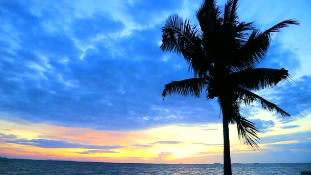 Puesta de sol de coco en el mar y nube roja en el cielo — Vídeo de stock