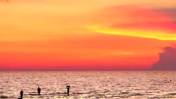 Силует люди повертаються на пляж, коли знаходять морепродукти і хмари заходу сонця на небі — стокове відео