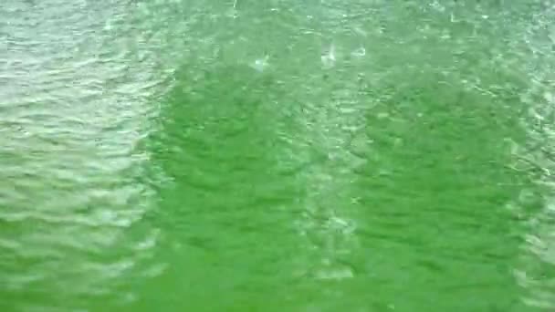 Lluvia cae sobre la superficie de agua verde pura y clara — Vídeos de Stock