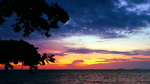 Silueta rama árbol puesta del sol en el mar y arco iris nube en el cielo — Vídeos de Stock