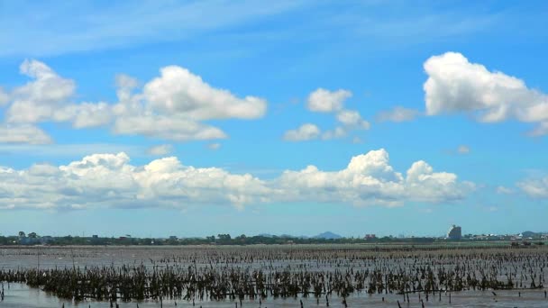 Céu azul com com nuvem passar movimento sobre fazenda de ostras no mar — Vídeo de Stock