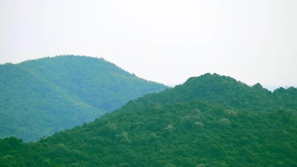 Paneo de árboles verdes y bosques en la montaña y el mar — Vídeos de Stock