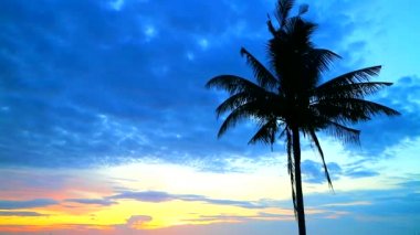 Siluet hindistan cevizi gün batımı denizde ve gökyüzünde kırmızı bulut