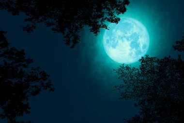 Dolunay, kara bulutların üzerinde siluet ağacında ve...