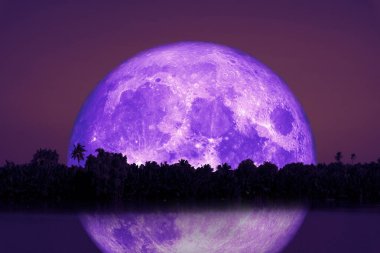 Dolunay, siluet ağacına geri döndü ve nehirdeki yansıma