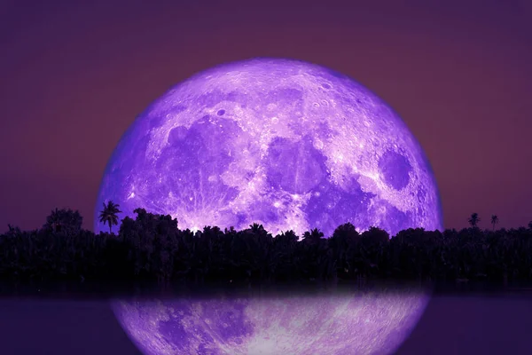 Dolunay, siluet ağacına geri döndü ve nehirdeki yansıma