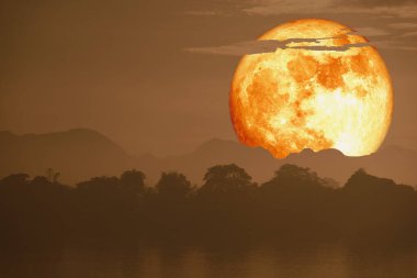 gece gökyüzünde bulut ve dağ geri süper kan balık ay