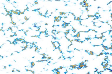 altın rengi mavi parıltı ve beyaz sıvı lüks iç plan