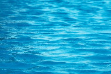 Yüzme havuzu o kadar berrak ki, suyun zeminini görebiliyoruz.