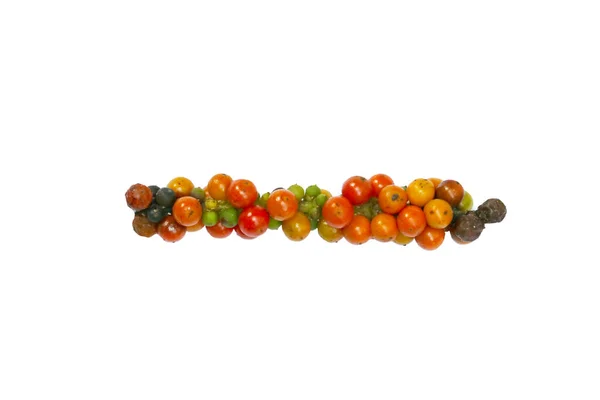 Raw Fresh Pepper Colorful Multicolor — Stock Photo, Image