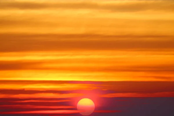 Atardecer Rojo Cielo Caliente Silueta Árbol Aves Volando — Foto de Stock