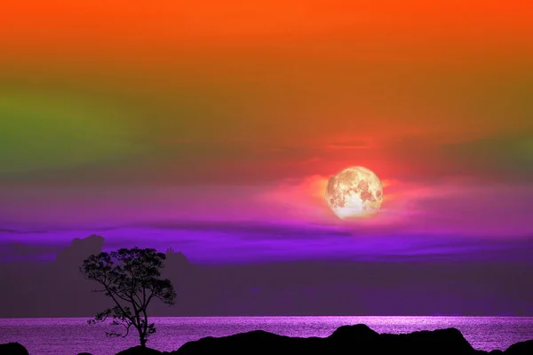 Full Corn Planting Moon Tree Silhouette Mountain Sunset Sky Elements — Stok Foto