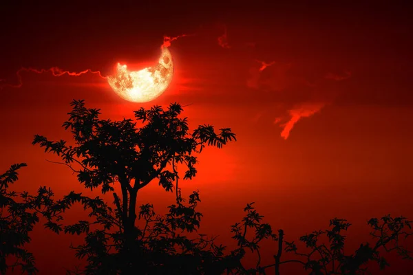 Full Hunger Moon Night Sky Back Silhouette Tree Cloud Στοιχεία — Φωτογραφία Αρχείου